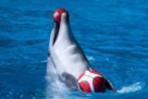 шоу "НАСЛЕДИЕ"