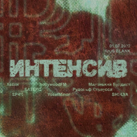Хаски в Санкт-Петербурге (Интенсив)