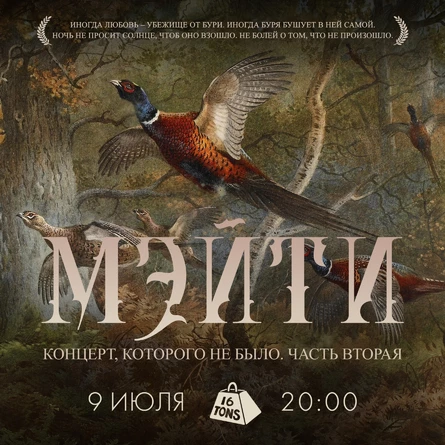 Мэйти