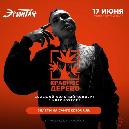 Красное дерево в Красноярске | 17 июня 2022