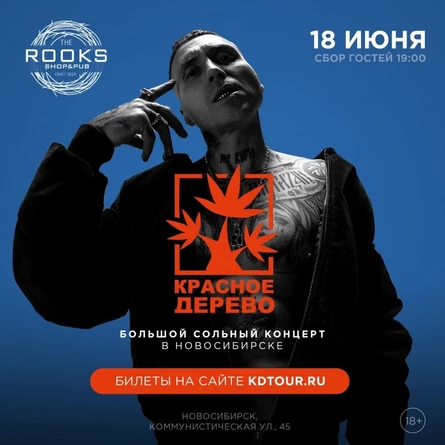 Красное дерево в Новосибирске | 18 июня 2022