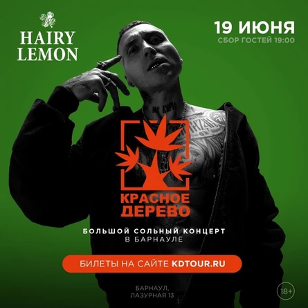 Красное дерево в Барнауле | 19 июня 2022