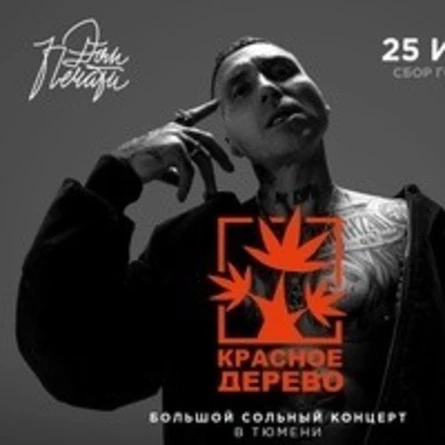 Красное дерево в Тюмени | 25 июня