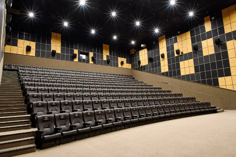 Тест. Концерт Ольги Щёголь