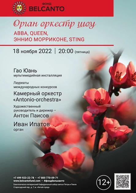 «Орган оркестр шоу. ABBA, Queen, Эннио Морриконе, Sting»