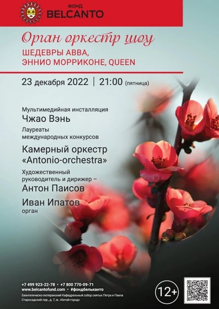 «Орган оркестр шоу. Шедевры ABBA, Эннио Морриконе, Queen»