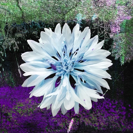 Вопреки | Москва