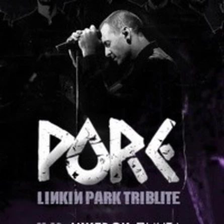 Pure. Linkin Park Tribute | Пинта | 11.12