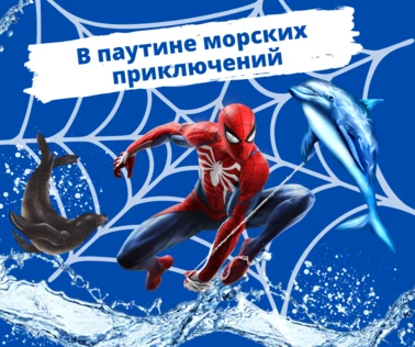 Шоу "В паутине морских приключений"
