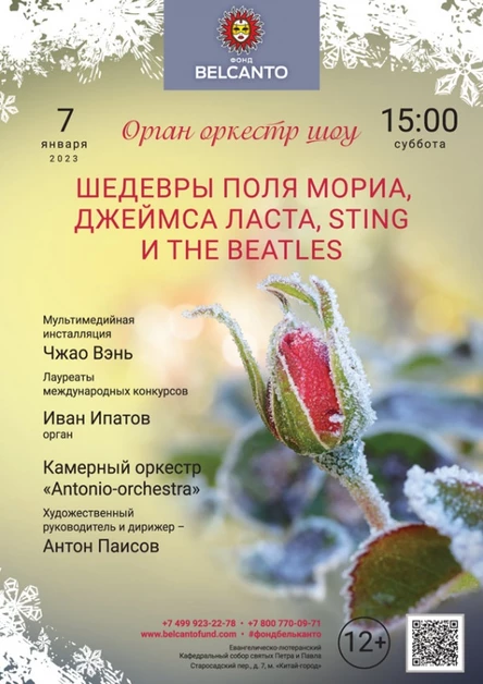 «Орган оркестр шоу. Шедевры Поля Мориа, Джеймса Ласта, Sting и The Beatles»