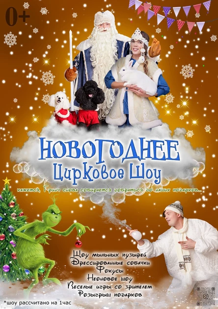 Новогоднее цирковое шоу