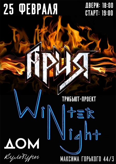 Winter Night Cover "Ария"