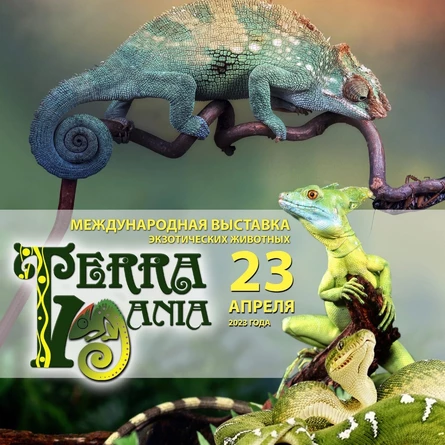 Выставка экзотических животных ТерраМания 24
