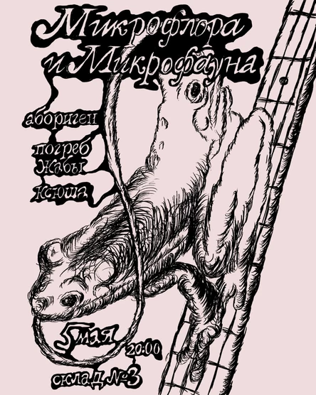 Микрофлора и микрофауна