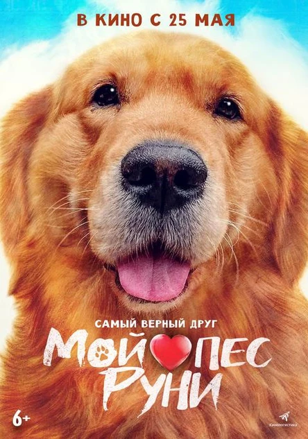 Мой пес Руни