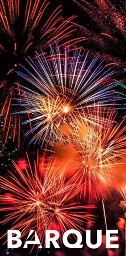 Праздничный салют в честь «Дня Военно-Морского Флота»