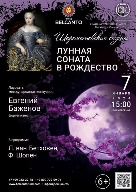 «Лунная соната в Рождество»