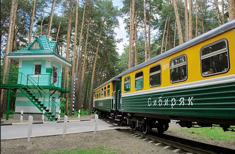 Лекция: " Как детские железные дороги развивают будущих машинистов и влияют на выбор будущей профессии"