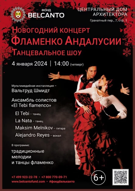 Новогодний концерт. Танцевальное шоу «Фламенко Андалусии»