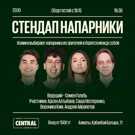 Стендап напарники