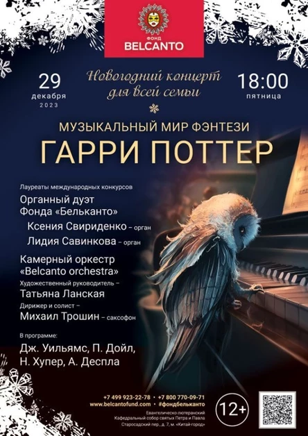 Новогодний концерт для всей семьи. «Музыкальный мир фэнтези: Гарри Поттер»