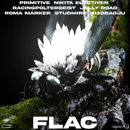.FLAC