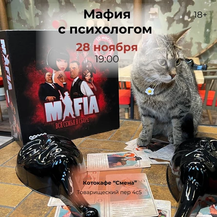 Играем в «Мафию» с психологом в котокафе