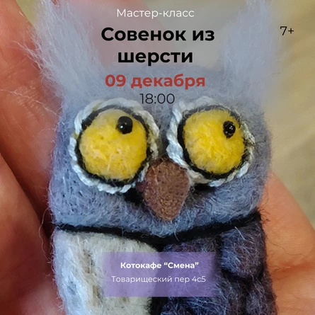 Мастер-класс «Валяние из шерсти: совенок» в котокафе, 7+