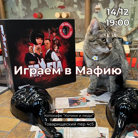 Играем в Мафию в котокафе, 16+