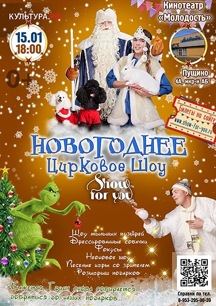 Новогоднее цирковое шоу Мыльных пузырей