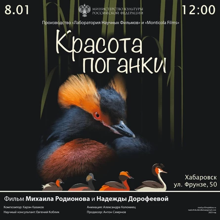 КИНО В МУЗЕЕ «КРАСОТА ПОГАНКИ»