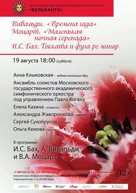 Вивальди. Времена года. Моцарт. Маленькая ночная серенада. И. С. Бах. Токката и фуга ре минор