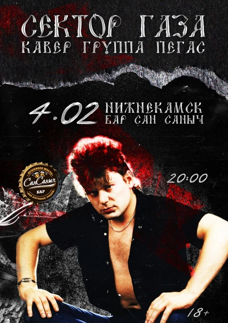 СЕКТОР ГАЗА TRIBUTE | Нижнекамск | 04.02