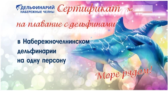Сертификат на плавание с дельфинами