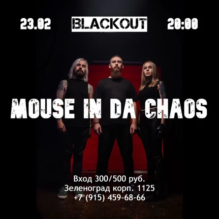 Mouse In Da Chaos в Зеленограде