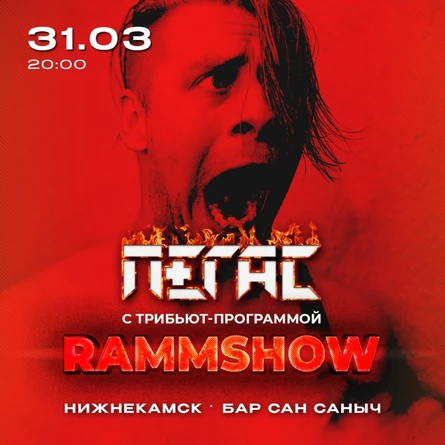 TRIBUTE RAMMSTEIN |НИЖНЕКАМСК| 31.03
