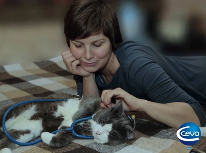 Интерактив: Дети и кошки - хорошее поведение начинается здесь.