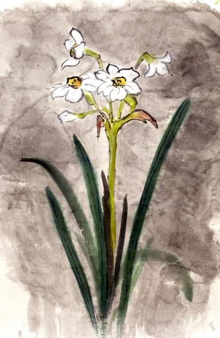 Рисовать Суми-Э — Нарциссы