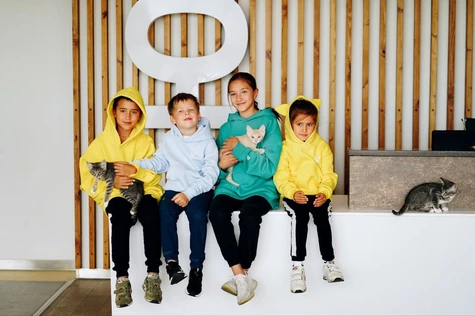 Детский квест «Доведи бездомное животные до дома»