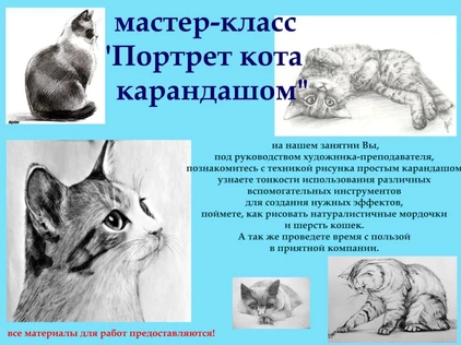 Портрет кота карандашом
