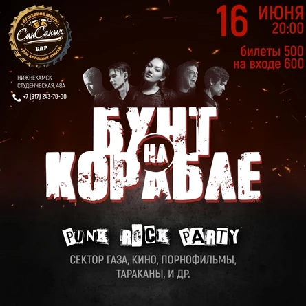 16 ИЮНЯ | PUNK ROCK PARTY | НИЖНЕКАМСК