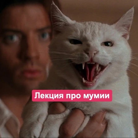 Лекция о мумиях