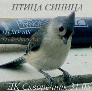 птица синица