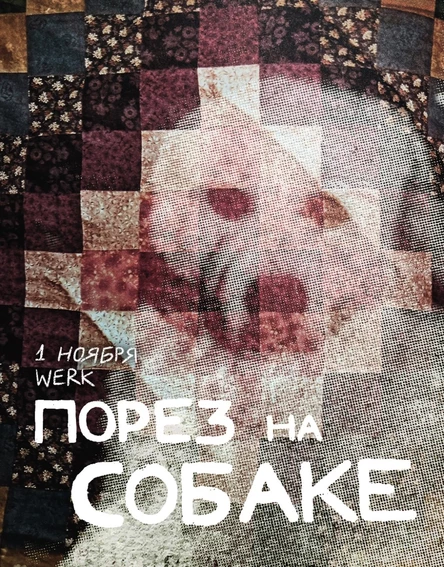 Порез на Собаке