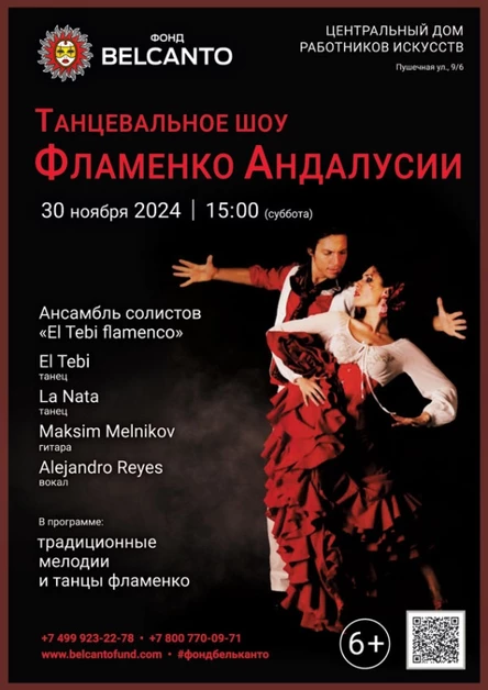 Танцевальное шоу «Фламенко Андалусии»