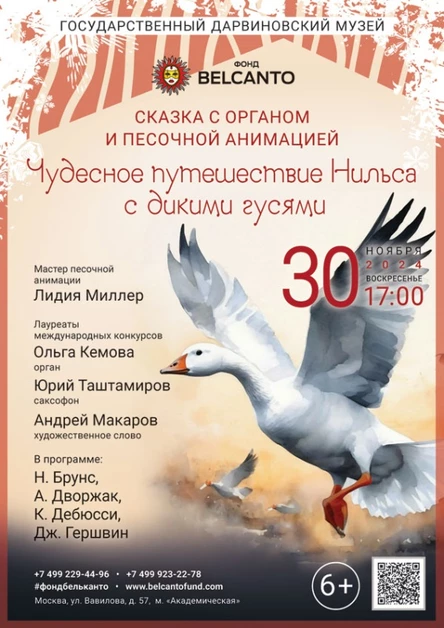 Рождественская сказка с песочной анимацией «Чудесное путешествие Нильса с дикими гусями»