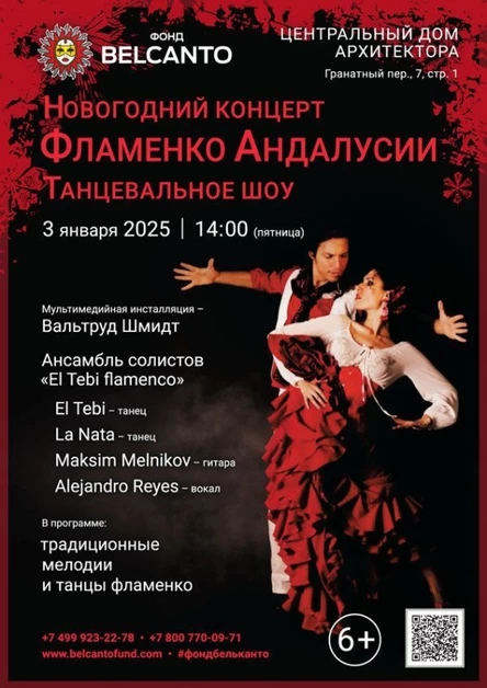 Новогодний концерт «Танцевальное шоу. Фламенко Андалусии»