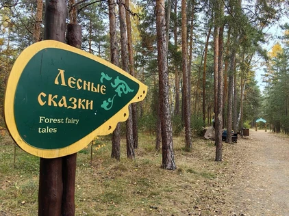 "От "Лесных сказок" до плотины", экскурсия Елены Кубрак по городскому бору