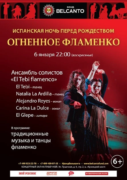 «Испанская Ночь перед Рождеством. Огненное Фламенко»