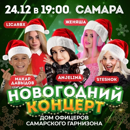 Новогодний концерт с артистами
